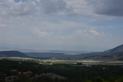 DSC_3029 (Large).JPG